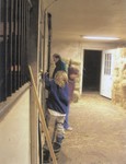 The Foal is Born â March 27 â 2:30 am